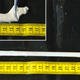 Image for article titled Big Whales Have Nerves Like Bungee Cords